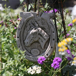 yԌP5{MAX10OFFN[|zK[f I[ig Ǌ| v[g n E} HORSE /C[v[g2014@n  z[XEH[fR Hampshire Garden Craft CMX IuWF u n