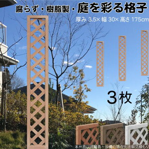 iqeBX  CguE 3set 1753 3.5×H175×W30cm Ȃ Ԏd؂ ډB [o[ tFX eBX  Op 