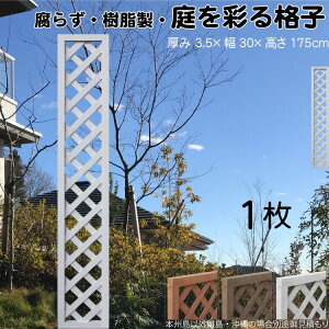 iqeBX  F 1 1753 3.5×H175×W30cm Ȃ Ԏd؂ ډB [o[ tFX eBX  Op 