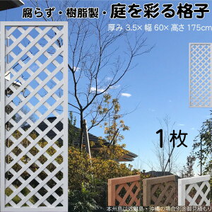 iqeBX  F 1 1756 3.5×H175×W60cm Ȃ Ԏd؂ ډB [o[ tFX eBX  Op 