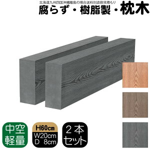   60cm W20cm D8cm 2{Zbg `R[O[ lH؍ tFX Ԓd  |Xg 和 ƒ؉ K[ft@j[`[