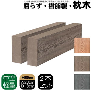   60cm W20cm D8cm 2{Zbg `R[guE lH؍ tFX Ԓd  |Xg 和 ƒ؉ K[ft@j[`[