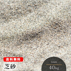 芝砂【送料無料】芝生用 目砂 40kg（20kg袋×2） 1mm 乾燥砂 砂 芝生育成 養生 芝生の砂 芝 透水性 水はけ 充填 補修 ガーデニング 山砂 シルバーグレー 園芸 造園 ゴルフ バンカー 砂あそび さらさら 静岡県産 国産 天然 グリーン 人工芝