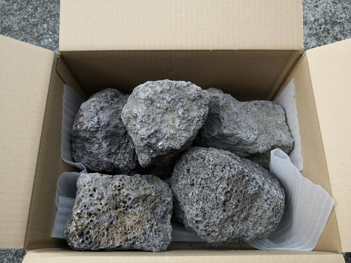 楽天市場】《大感謝祭 ポイント5倍》20kg 富士山溶岩石 150mm  