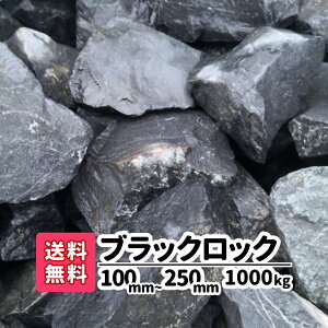 yz ubNbN 1000kg (20kg×50) 100mm `250mm  bNK[f  傫 I  傫 y |   ANAE  Av[` K[fjO Y Ӑ 