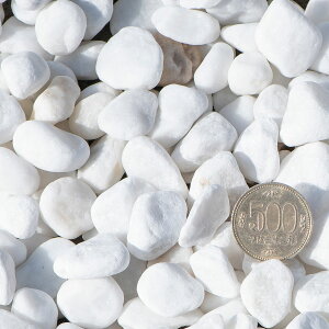 白玉石10mm〜20mm500円玉との比較
