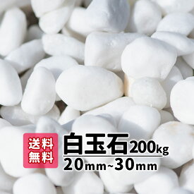 白玉石 200kg 20mm〜30mm(10kg袋×20) 砂利 庭 白玉砂利 アプローチ 防犯砂利 玉石 おしゃれ ガーデニング 白 白い石 白い砂利 綺麗 ガーデニング 外構 エクステリア リフォーム 植木鉢 ベランダ 化粧砂利 【送料無料】
