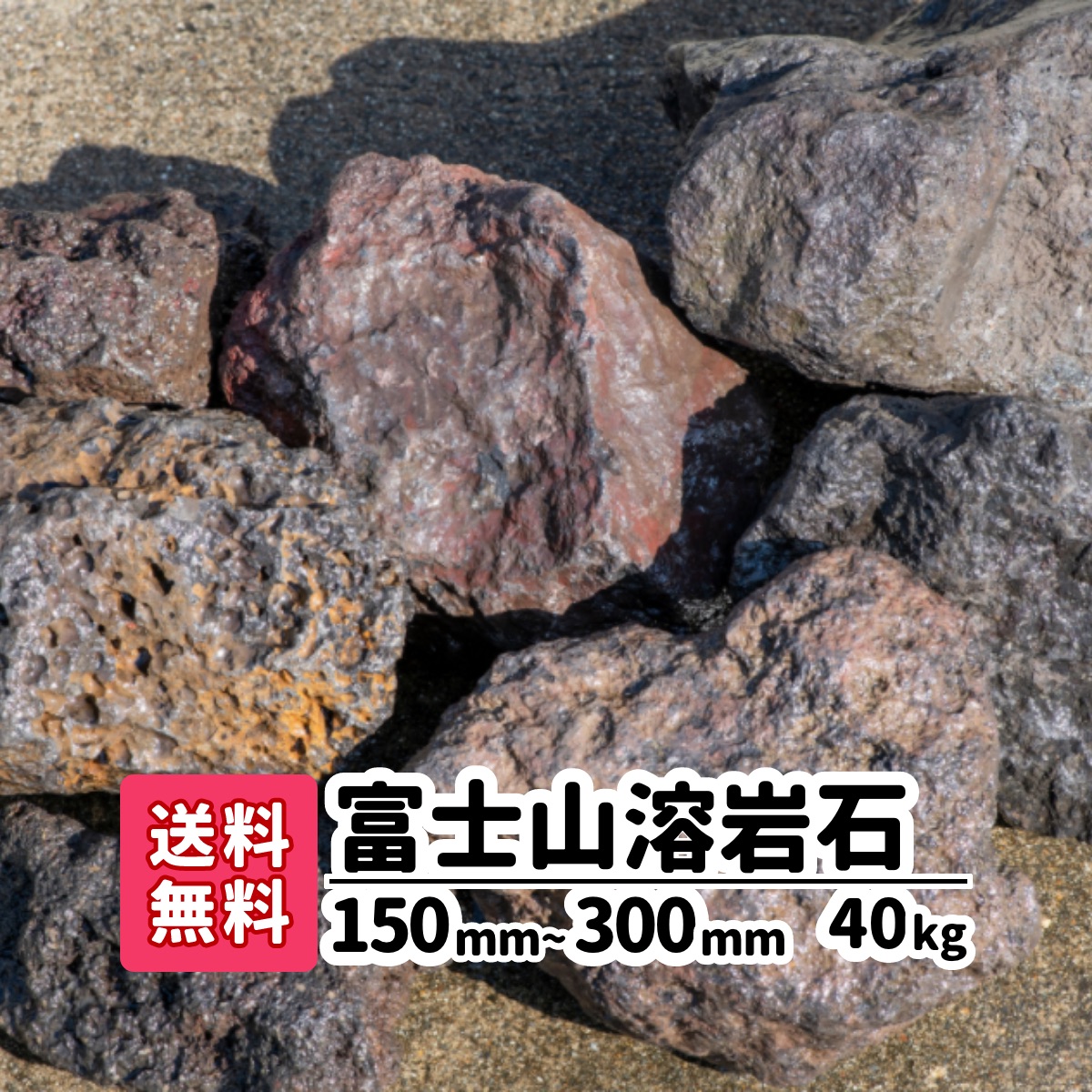 楽天市場】【送料無料】40kg 富士山溶岩石 150mm〜250mm(20kg×2