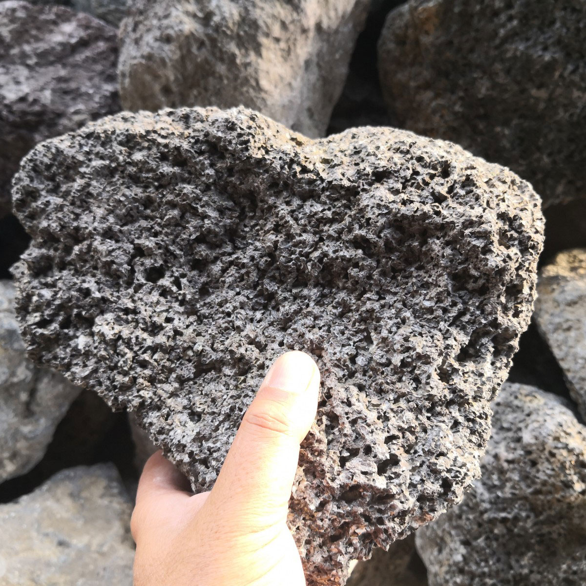 富士山溶岩石 溶岩 インテリア雑貨 水槽 熱帯魚 ペット用品 インテリア-