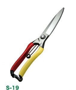 򏯁@Ў芠(Аn)@S-19