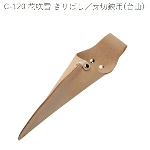 ΂@p() C-120yP[X-pEpEtpz