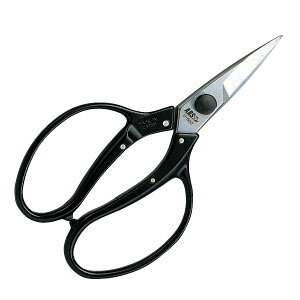 yʐANo.U-600yARSzyAXR[|[VzyA؂̙AɁz