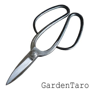 zԐ Ó^1p ApAЂ肫A|@U-19