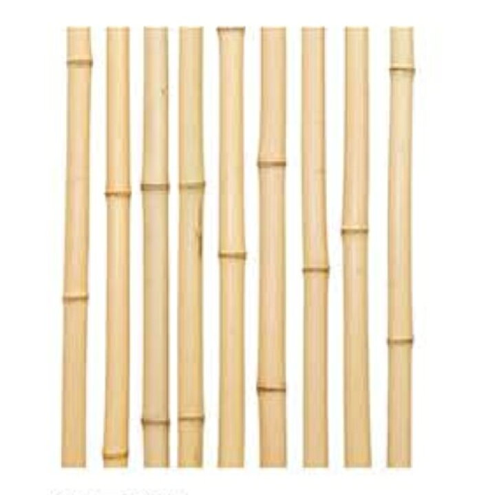 楽天市場】晒竹 10本セット（5-6分 28-30cm）【さらし竹】【白竹 
