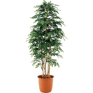 lH glRH1500ypzylHAzy뉀zyCeAzyO[ACezyszy[J[zyؒpa؁z