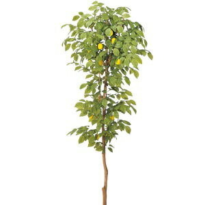 楽天市場 人工樹木 レモンツリーh1500 屋内用 人工植物 室内庭園 インテリア グリーンアイテム 代引不可 メーカー直送 坪庭用和風 樹木 ガーデン太郎 楽天市場 人工樹木 レモンツリーh1500 屋内用 人工植物 室内庭園 インテリア グリーンアイテム 代引不可 メーカー直送 坪庭用和風 樹木 ガーデン太郎