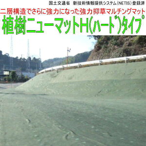 ͖h}`O}bgAj[}bgHin[hj^Cv/2m×50m/yhV[gzyh}bgzyz^Ђ̓sɂHƎҁE@llɑ΂Ă̔ƂȂ܂B(l