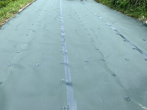 AhV[gT-1/2m×50m/yhV[gzyh}bgzyz^Ђ̓sɂHƎҁE@llɑ΂Ă̔ƂȂ܂B(llւ̔͂ł܂)