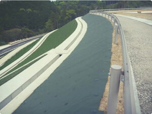 vtBbg@TG-120/2m×100m/yhV[gzyh}bgzyz