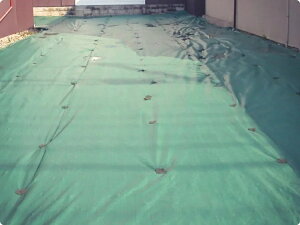 AhV[gX[p[/2m×100m/yhV[gzyh}bgzyz^Ђ̓sɂHƎҁE@llɑ΂Ă̔ƂȂ܂B(llւ̔͂ł܂)