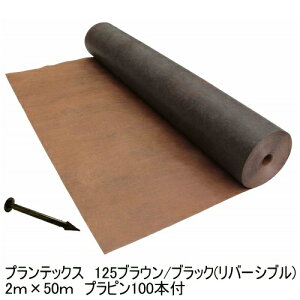 wUo[hV[g125uE/ubN2m×50mX^_[h^Cv+vs100{txGł̂Ȃ֖hV[gUo[yf|ЁzyUo[zyhV[gzyz