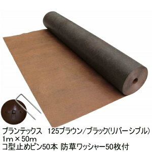 hV[gUo[125uE/ubN1m×50mX^_[h^Cv+Uo[pR^~߃s50{+hbV[50t@Gł̂Ȃ֖hV[gUo[yf|ЁzyUo