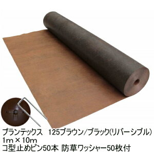 hV[gUo[125uE/ubN1m×10mX^_[h^Cv+Uo[pR^~߃s50{+hbV[50t@Gł̂Ȃ֖hV[gUo[yf|ЁzyUo