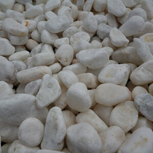 ʍ1@1.5@2@20kg`1000kgj(ʐ^͔ʍ5)yzyӐ΁zy`bvzyzCgzꕔnʓrʓrƂȂ܂B