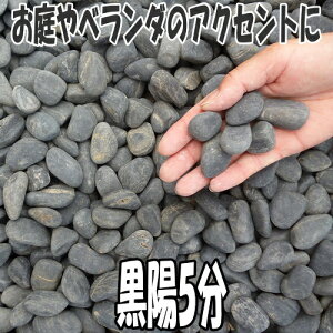 wz320kg܁xύܓiʐ^5łF5͌iłj