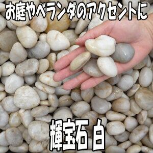 P  200kgZbgi20kg×10܁jyzyӐ΁zy`bvzyzCgz