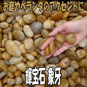 P ۉ 100kgZbgi20kg×5܁jyzyӐ΁zy`bvz