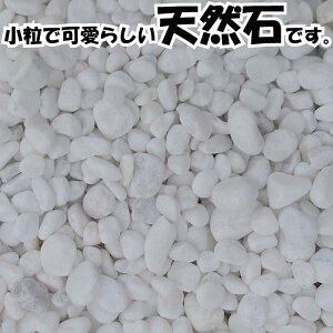 낢ʐ΁@10`20mm@1kg/܁@20kg/܁@100kgZbg@200kgZbg@500kgZbg@1000kgZbg yyzyzyzyʐ΁zyӐ΁zyʍzꕔnʓrʓrƂȂ܂B