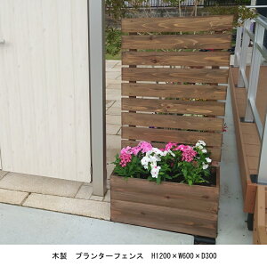 Y@ؐv^[tFX@H1200×W600×D345i300+45jySSz