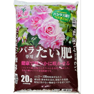 NőN₩ɍ炩@op@20LyoVXہzy͔zyO[vz