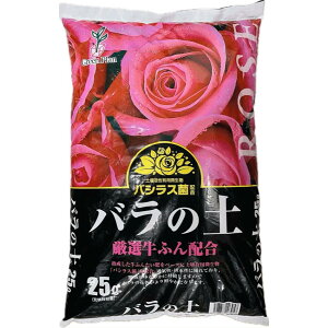 Iӂz@o̓y@25LyoVXہzyO[vz