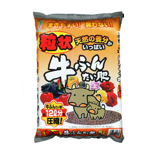 yRSLoׁz󋍂ӂ񂽂@5Ly͔zyO[vzybg