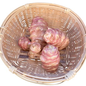 キクイモ【菊芋】【紫菊芋】スーパーフード 生菊芋 きくいも イヌリン 国産 生キクイモ 糖質制限 ダイエット 腸活 便秘解消 美肌 美容 野菜 免疫力向上 健康食品 天然栽培 オーガニック 1kg 2kg 3kg 送料無料：農家さん直送:採りたてをお届け：新鮮です。