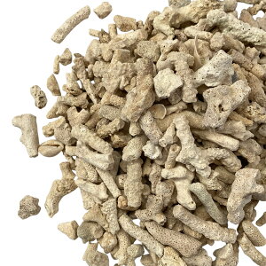 ꂳ񂲍@1L@yTS@ANA@@@z