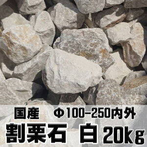 Y I  20kg y΁EiϗpEΊDz TCY100`250mm