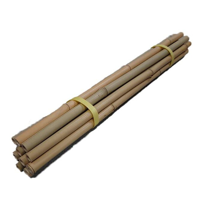 楽天市場】晒竹 6分 バラ売り 60cm 100cm 140cm 200cm 【さらし竹 