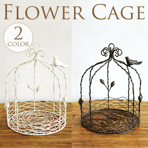 K[fjOG K[{^t[o[hP[W  v^[ AeB[N G݁@ObY nMO ԑ K[fjO K[f CeA t[P[W