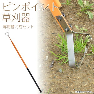 us|Cgvpւniւn̂݁j   G΍ G G 芙  K[f GNXeA K[fjO