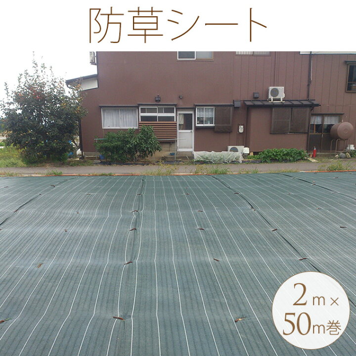 楽天市場 業務用 防草シート 2m 50m巻 雑草対策 遮光 ビニール 耐用年数 3年 庭 駐車場 屋外 会場 グラウンド 校庭 公園 芝の保護剤 住宅 グランド ガーデン用品屋さん