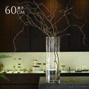 KX ԕr  k ^ Vv 傫 EUROOX a19×60cm NA[ t[x[X  傫 CeA G ~ V_[ Ԋ NA 傫 } [sA 