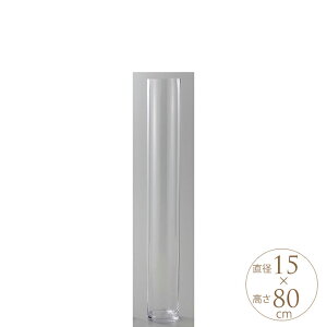 KX ԕr  k ^ Vv t[OX@EURO a15×80cm NA[ t[x[X KXx[X  傫 ~ V_[ O Ԋ NA 傫 ^ tFC