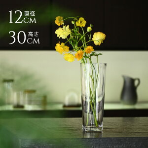  k Vv ԕr KX EUROOX e[o[ a12cm×30cm NA[ t[x[X  傫 |[h Vv ~ Ԋ ` 傫 ^ } } OX bs