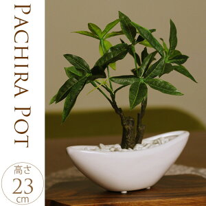 ԃCeA@pL|bg@STCY lH ϗtA tFCNO[ ItBX tA@ [@CeA JtF  C~e[Vvc 