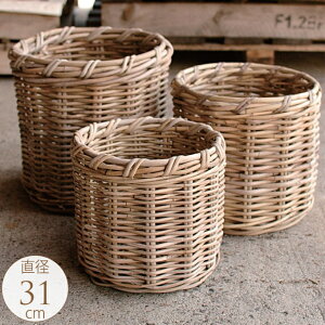 観葉植物 カゴ 鉢の人気商品 通販 価格比較 価格 Com