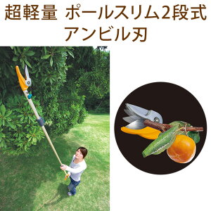 Ƃɐn͂@}؂΂ |[X2i y } nT~ ȒP Jbg   K[fjO 炭炭 Lb`  Lk Arn