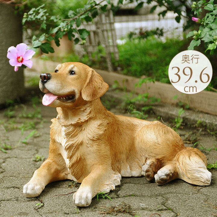 犬 置物 本物そっくり ゴールデンレトリバー のんびり 大型 オブジェ かわいい 大きい リアル 玄関 ドッグ オーナメント 飾り 犬の置物  ガーデン用品屋さん